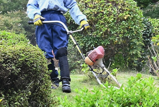 草刈り